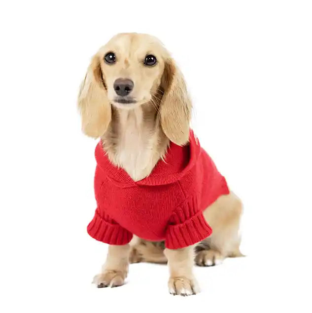 Cashmere Dog Hoodie