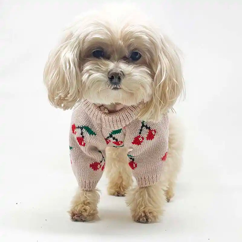 Cherry Delight Dog Sweater