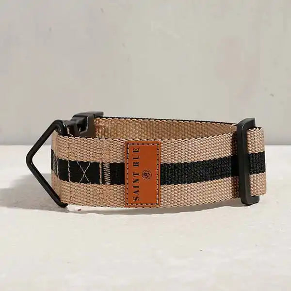 The City Dog Collar