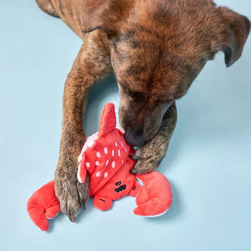 Crab "Nosework" Dog Toy
