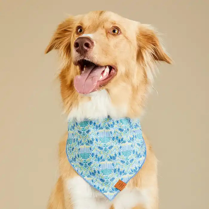 Flora Menorah Hanukkah Dog Bandana