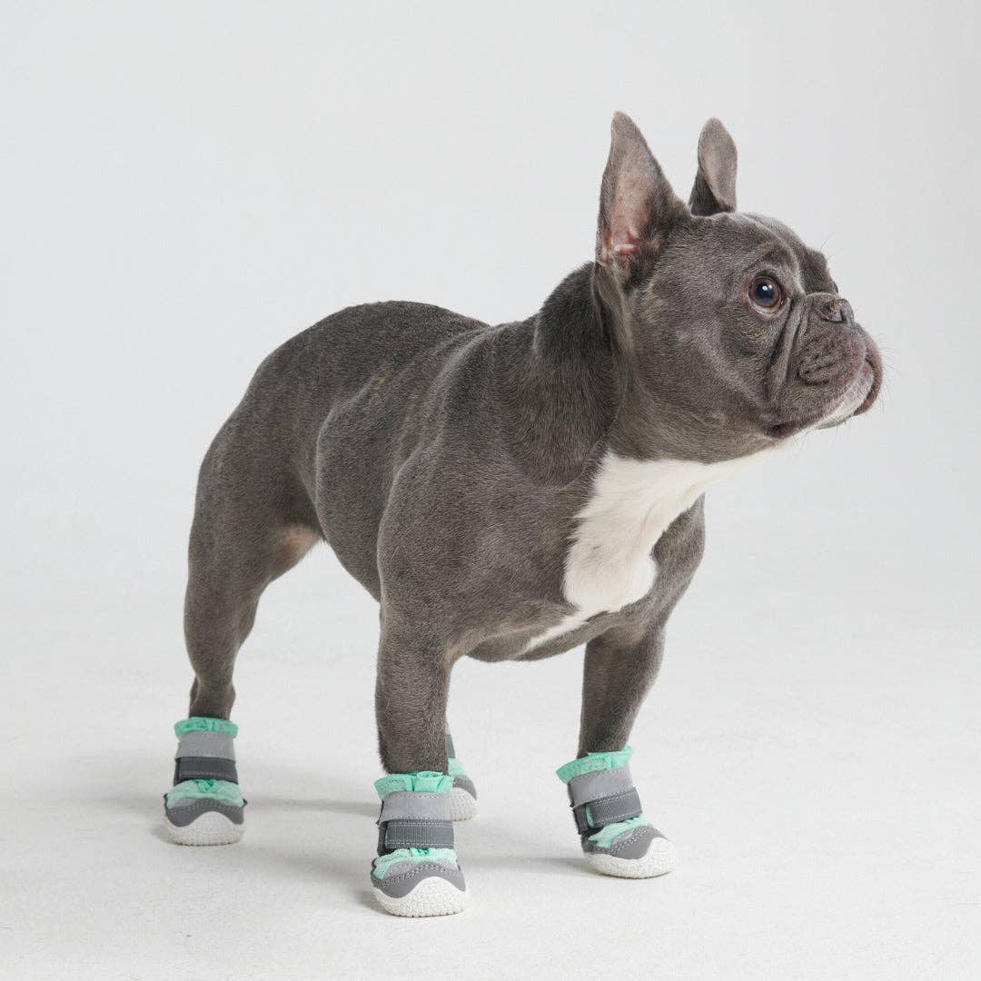 Hot Pavement Pawtector Dog Shoes - Teal: E (8.1cm-9.5cm / 3.2"-3.7")