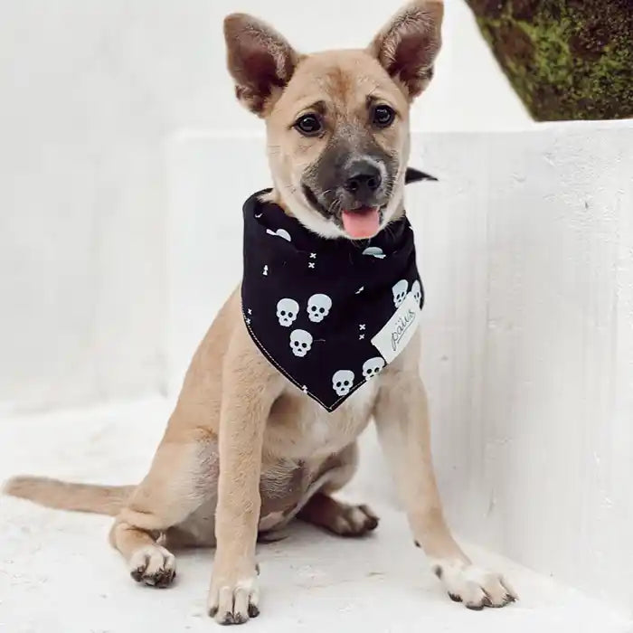Skulls Dog Bandana