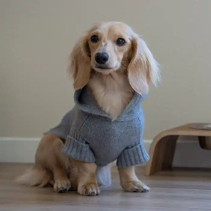 Cashmere Dog Hoodie