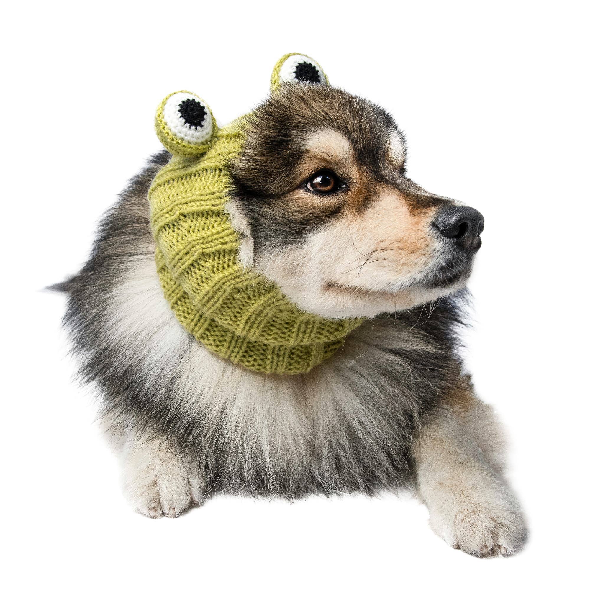 Frog Dog Snood