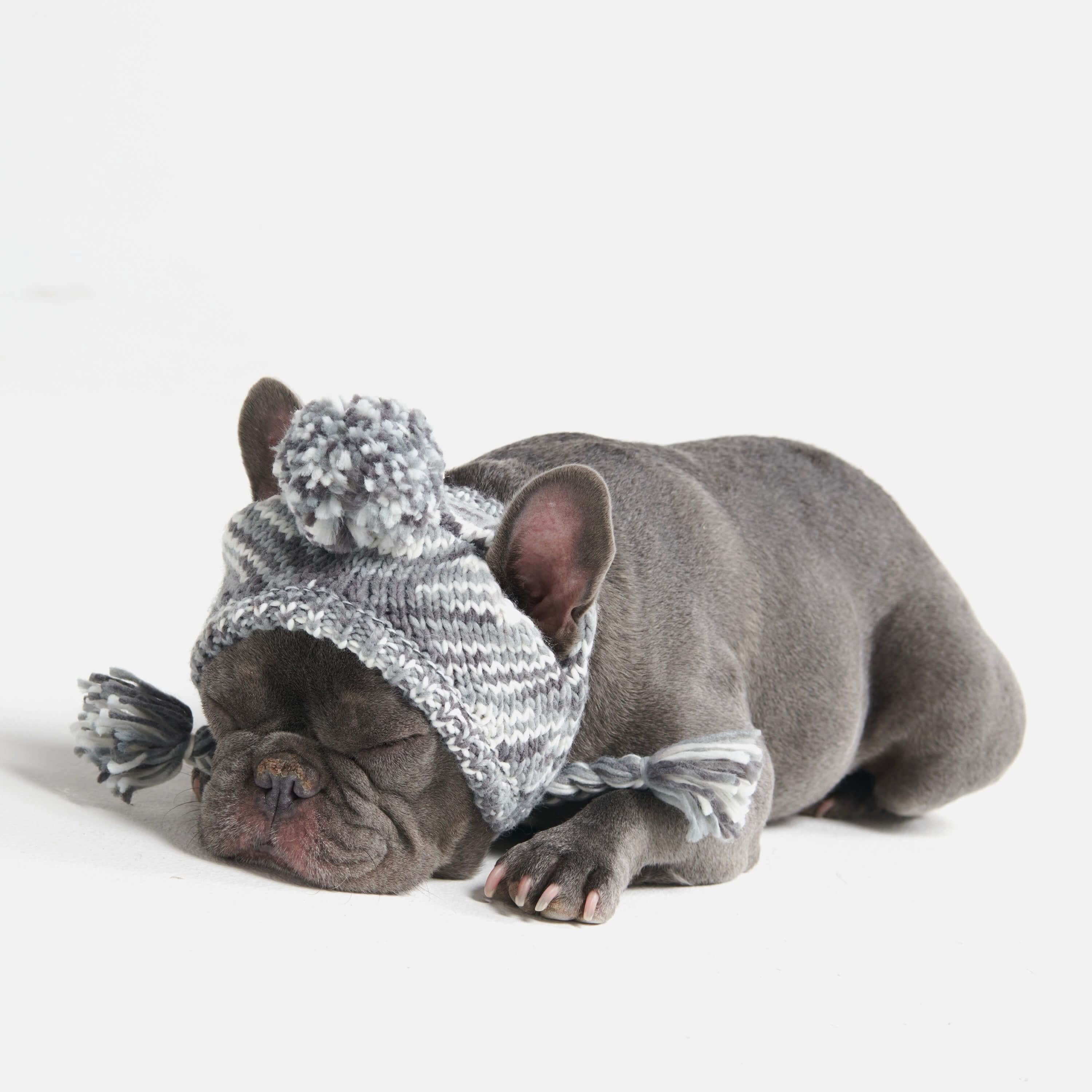 Knit Pom Pom Dog Beanie Hat - Salt and Pepper: L (45-100lbs/20-50kg)