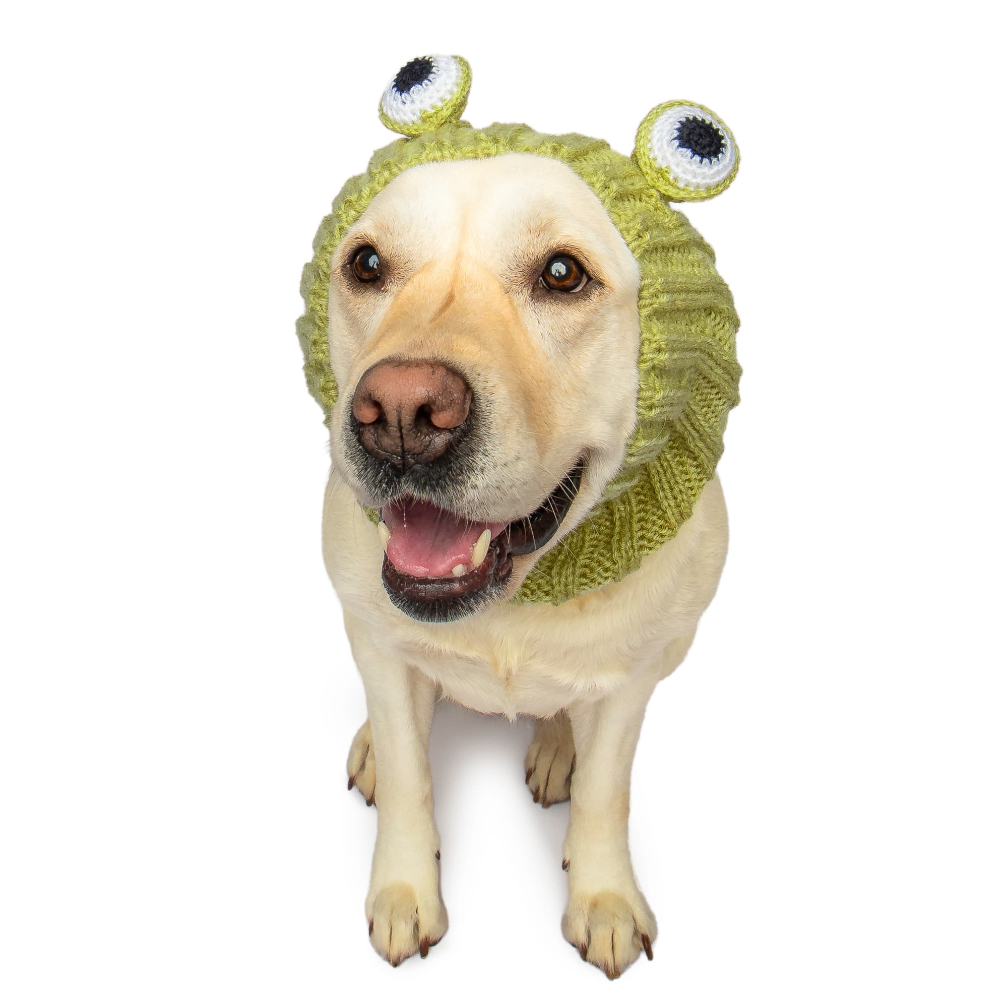 Frog Dog Snood