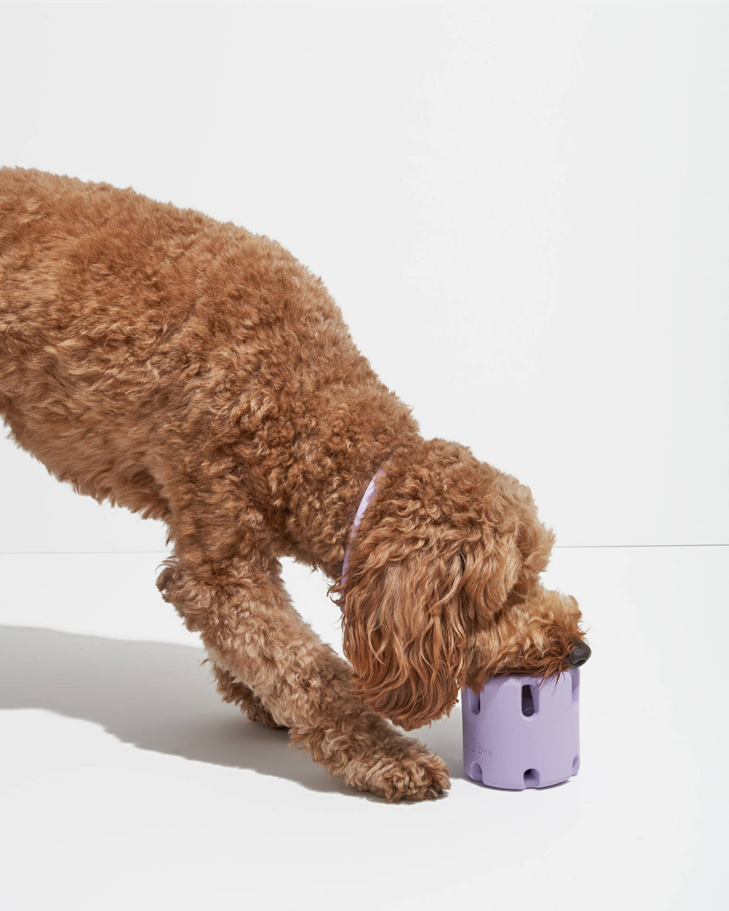 Tennis Tumble Interactive Dog Toy: Moonstone