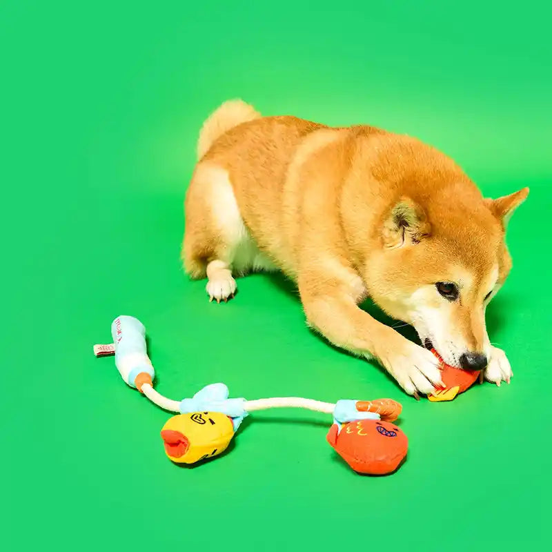 Fishing "Nosework" and Dog Tug Toy