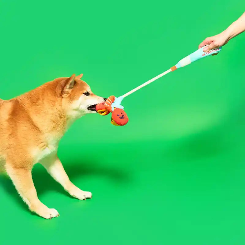 Fishing "Nosework" and Dog Tug Toy