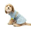 Fringe Denim Dog Dress