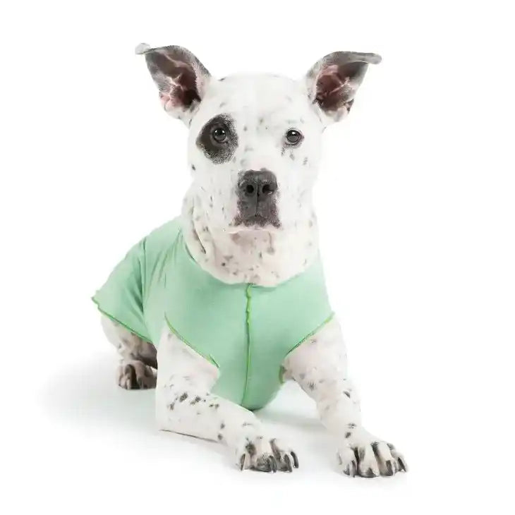 Sun Shield Dog Shirt