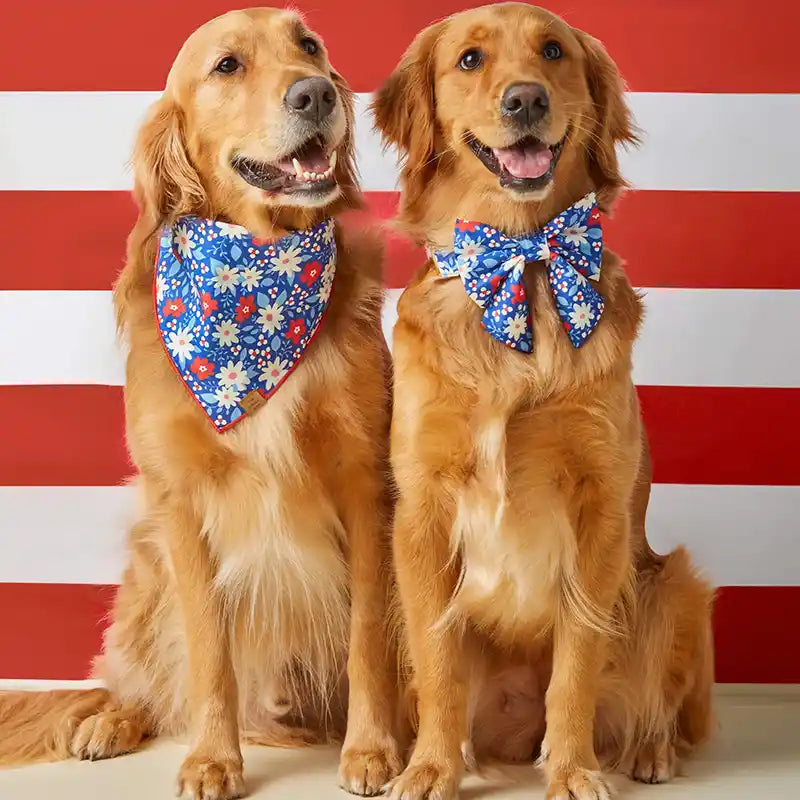 Liberty Garden Dog Bandana