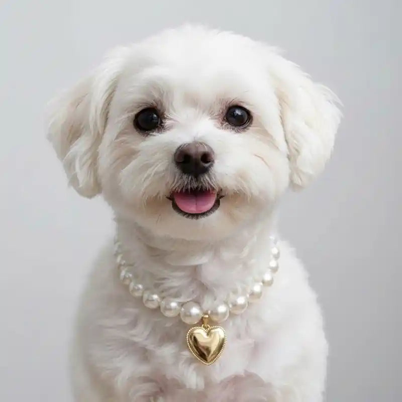 Pearly Lune Necklace for Dogs