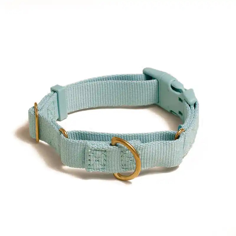 Marty Martingale Collar