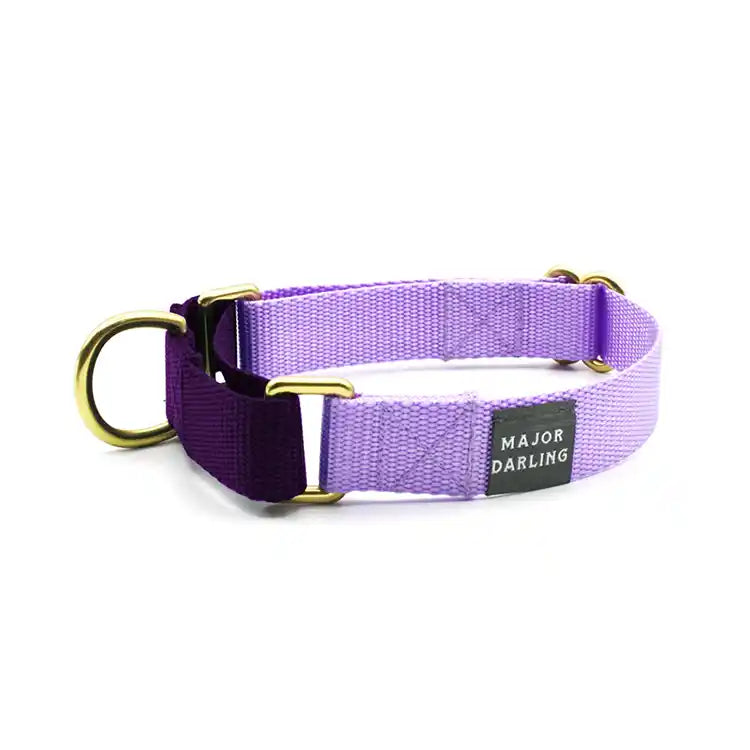 Violet with Lilac Martingale Collar