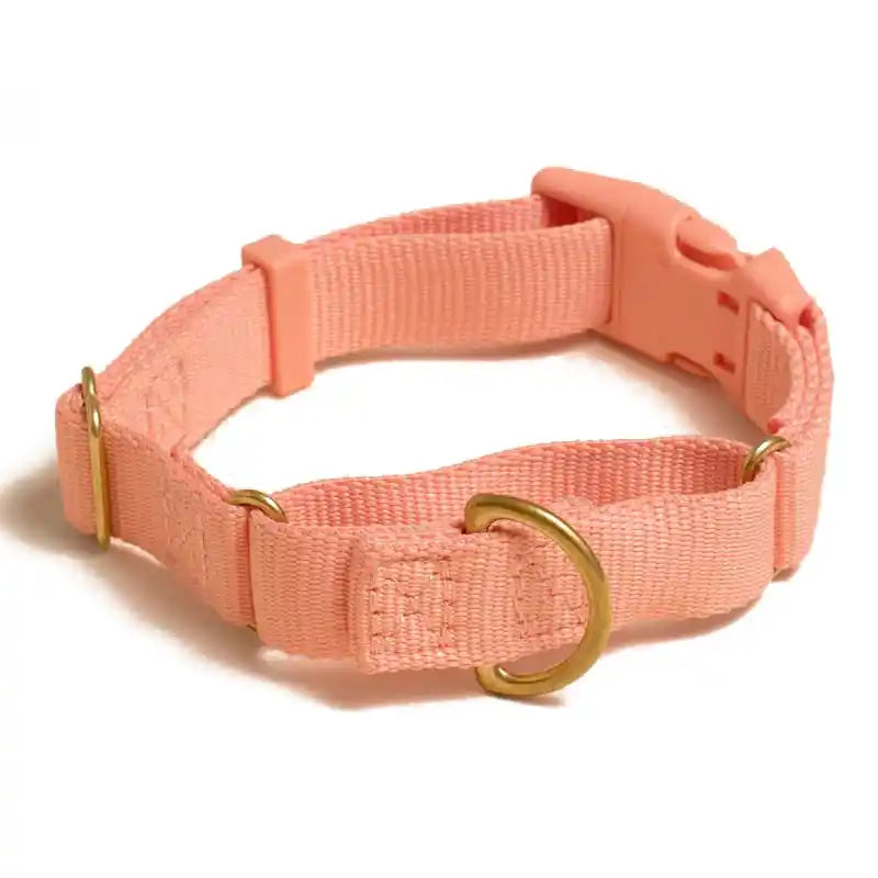 Marty Martingale Collar