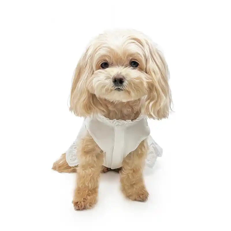 Tiered Eyelet Dog Dress with Cooling Effect