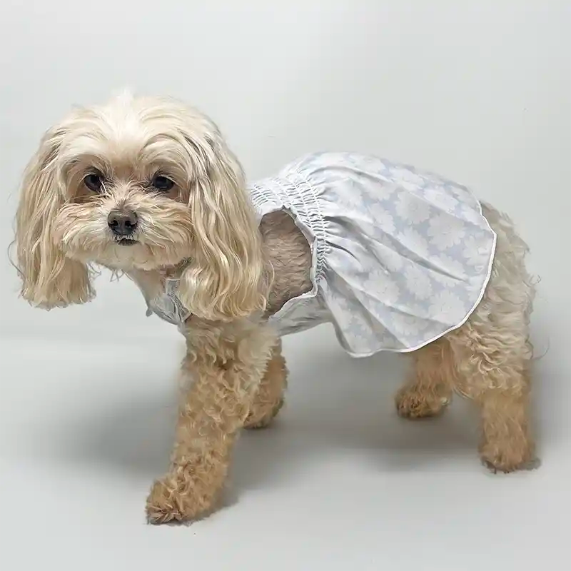 Smocked Daisy Dog Dress with Cooling Effect