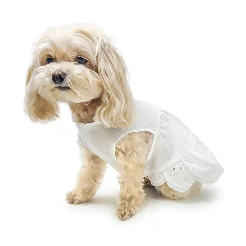 Tiered Eyelet Dog Dress with Cooling Effect