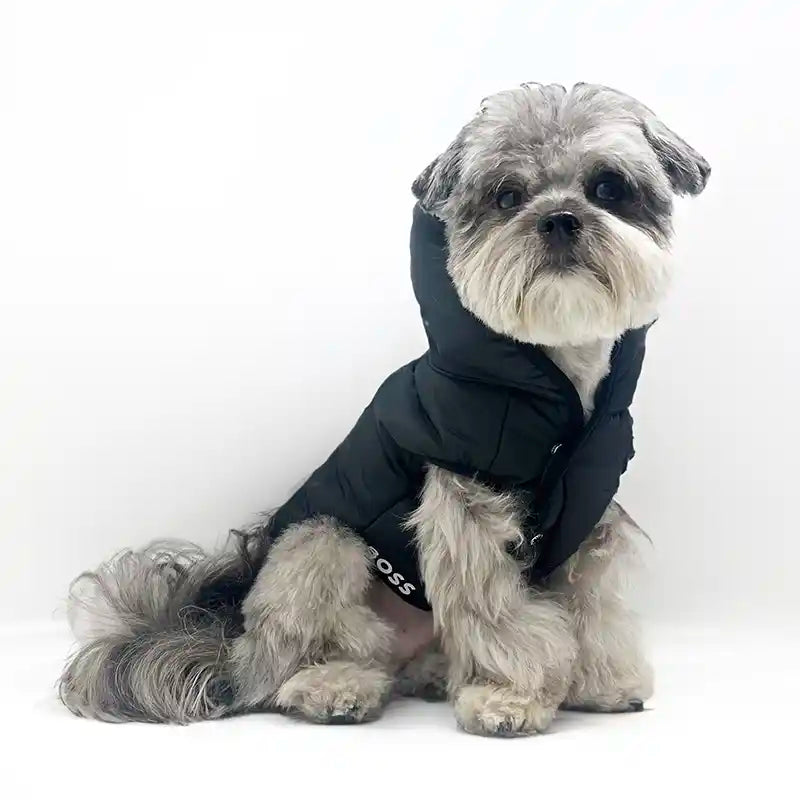 BOSS Dog Padded Vest