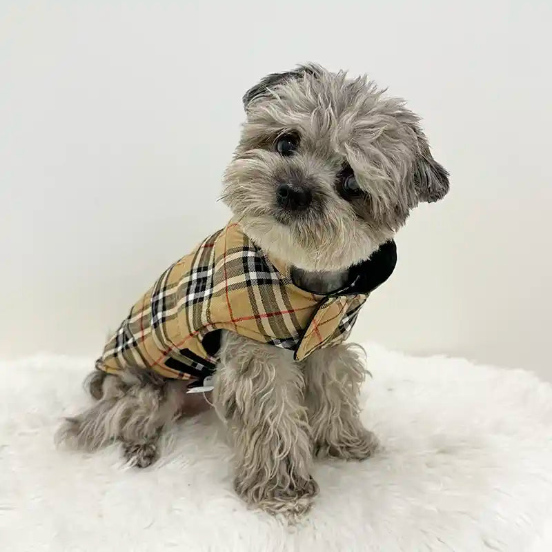 Reversible Faux Leather / Plaid Dog Jacket