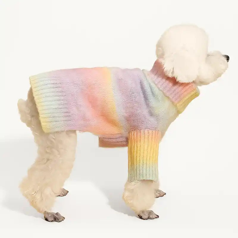 Rainbow Ombre Turtleneck Dog Sweater