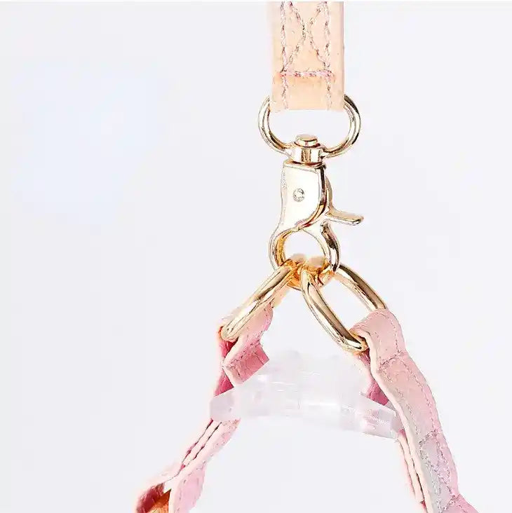 Ombre Vegan Leather Harness & Leash Set