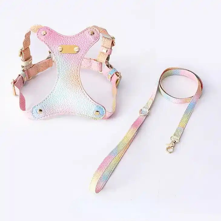 Ombre Vegan Leather Harness & Leash Set