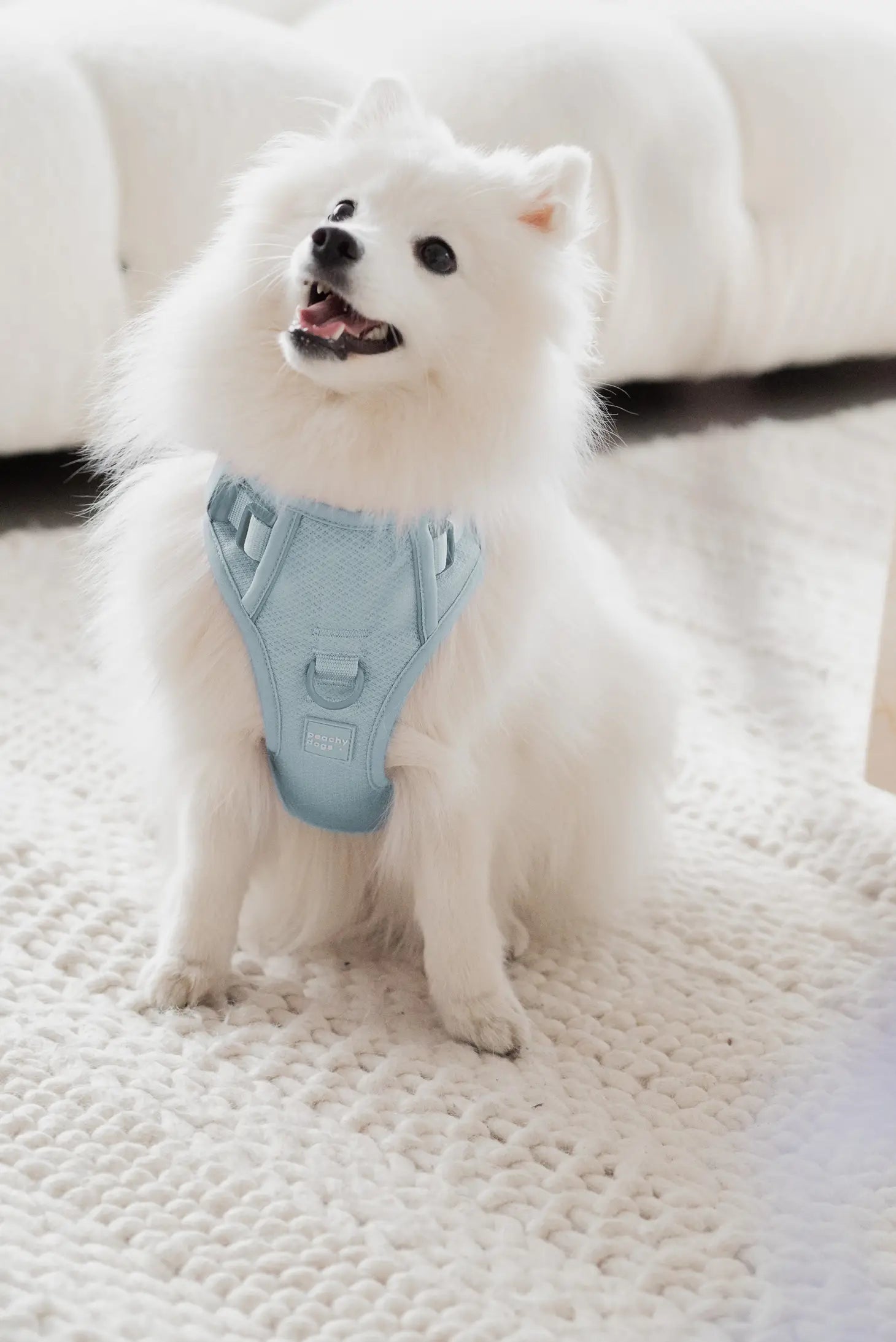 Peachy Dogs Cloud Harness