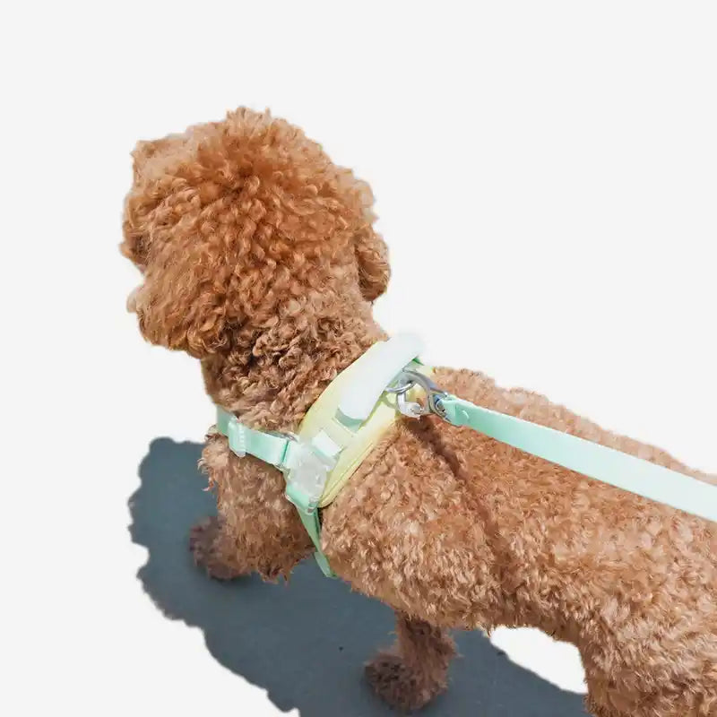 Jelly Dog Harness