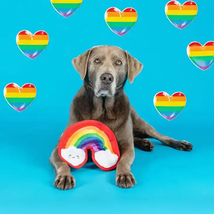 Durable Rainbow Dog Toy