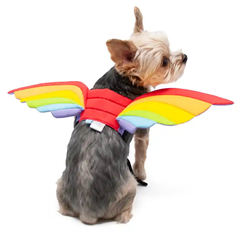 Rainbow Wings Pet Costume