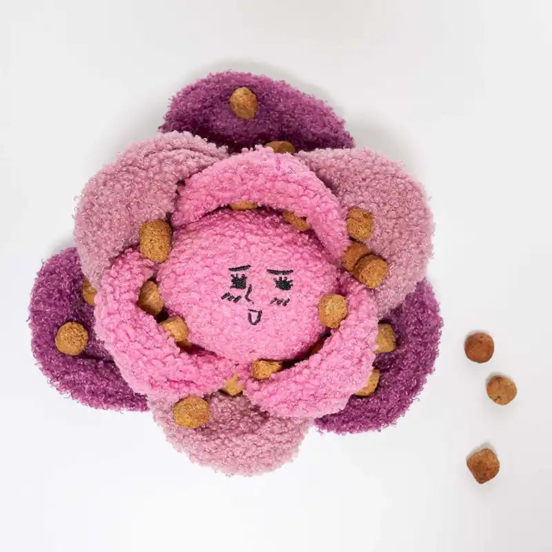 Red Cabbage "Nosework" Dog Toy