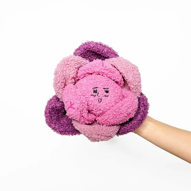 Red Cabbage "Nosework" Dog Toy