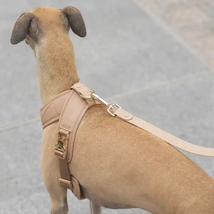 Roam Luxe Dog Harness