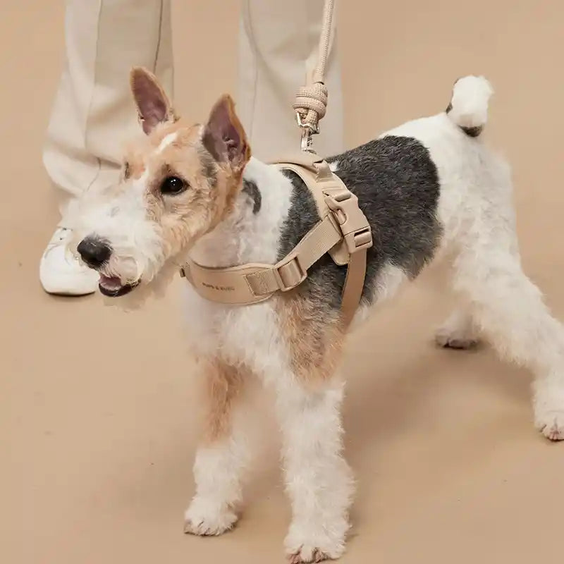 Rover Comfort Dog Harness