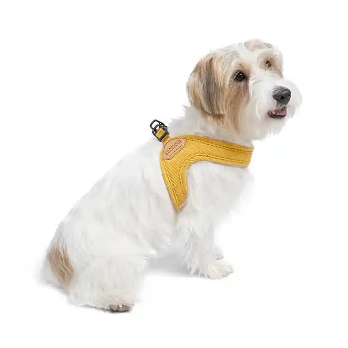 Roy Buckle-up Easy Dog Harness (Not Adjustable)