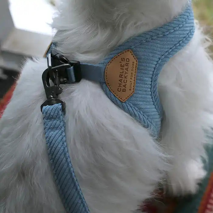 Roy Buckle-up Easy Dog Harness (Not Adjustable)