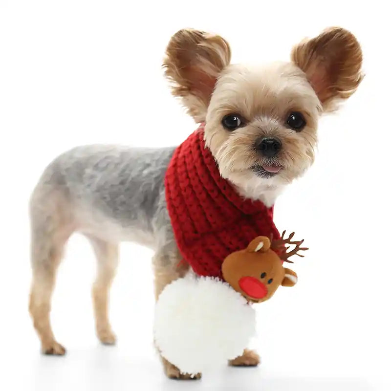 Reindeer Pet Scarf