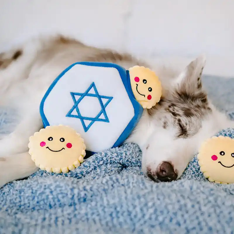 Hanukkah Burrow - Star of David - Holiday Dog Toy