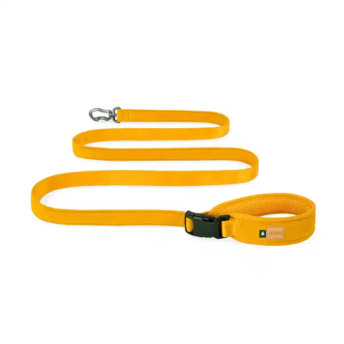 Town Dog Leash
