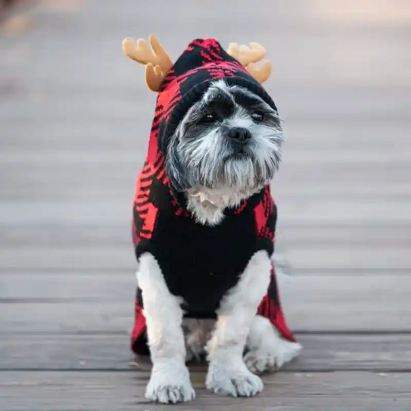 Buffalo Moose Dog Hoodie