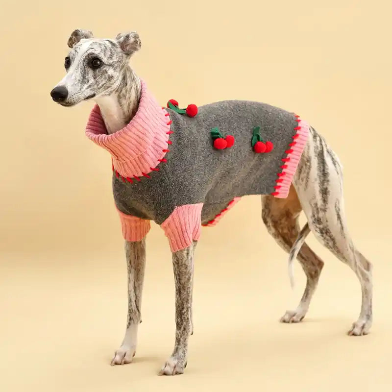 Cherry Kiss Dog Sweater